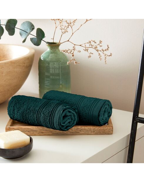 4 Serviettes Invite Spa emeraude