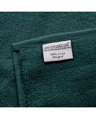 4 Serviettes Invite Spa emeraude