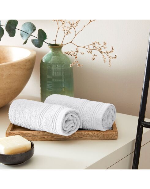 4 Serviettes Invite Spa neige