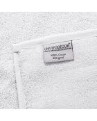 4 Serviettes Invite Spa neige