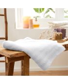 Drap de Douche Spa neige
