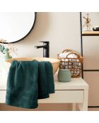 Serviette de Toilette Spa emeraude