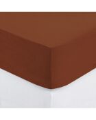 Drap housse en coton bonnet 30 cm rose terracotta