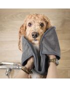 2 Serviettes microfibres pour chien gris - 65x24 cm