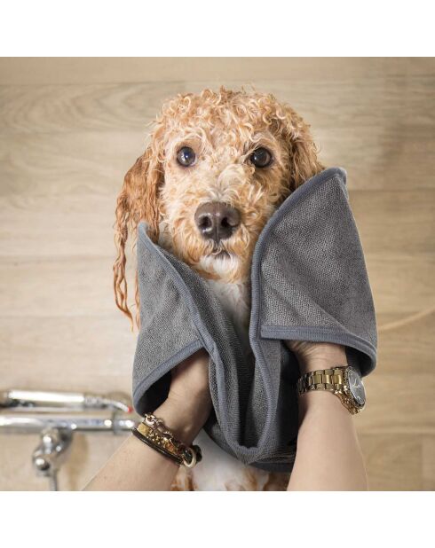 2 Serviettes microfibres pour chien gris - 65x24 cm