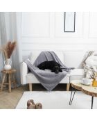 Couverture pour animaux grise-  100x120x1 cm