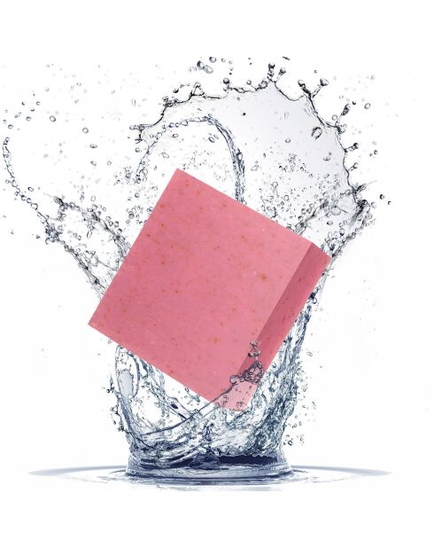 Super X reinigingsmiddel - 100 g