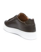 Sneakers en Cuir Paul marron/bronze