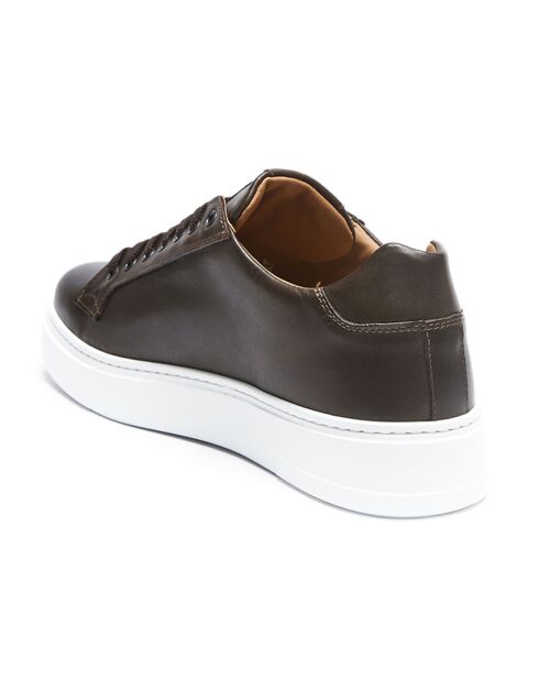 Sneakers en Cuir Paul marron/bronze