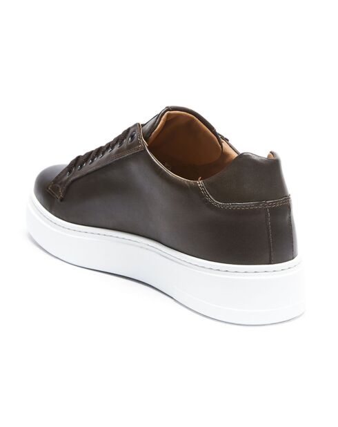 Sneakers en Cuir Paul marron/bronze