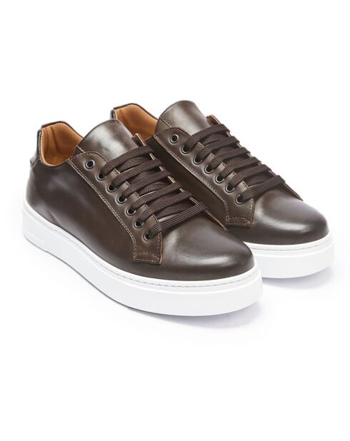 Sneakers en Cuir Paul marron/bronze