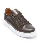 Sneakers en Cuir Paul marron/bronze