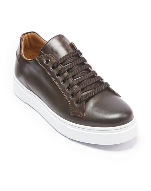 Sneakers en Cuir Paul marron/bronze