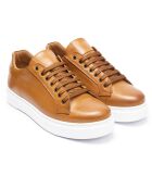 Sneakers en Cuir Paul camel