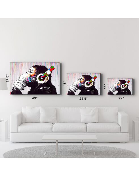 Cuadro decorativo de cristal templado mono multicolor - 46x72 cm