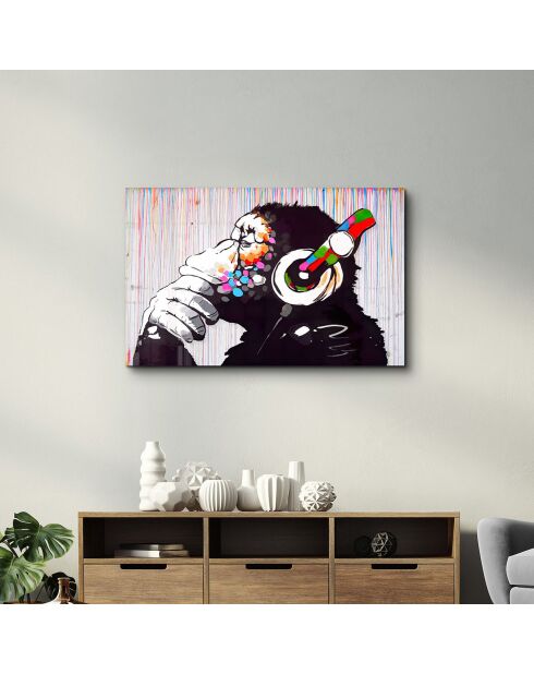 Cuadro decorativo de cristal templado mono multicolor - 46x72 cm