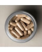 Complément Alimentaire Équilibre & Sérénité - 60 capsules