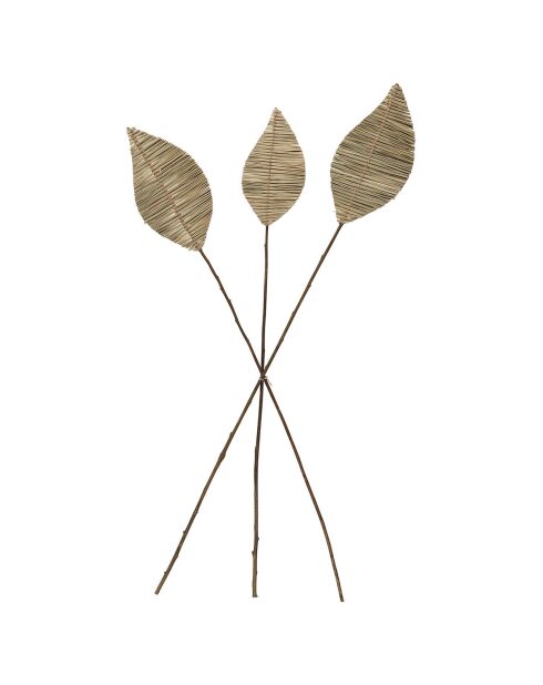 3 Branchages Aristida naturel plante séchée naturel  - 100 cm