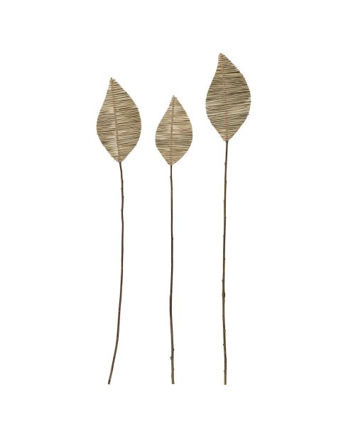 3 Branchages Aristida naturel plante séchée naturel  - 100 cm