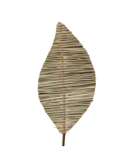 3 Branchages Aristida naturel plante séchée naturel  - 100 cm