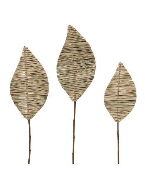 3 Branchages Aristida naturel plante séchée naturel  - 100 cm