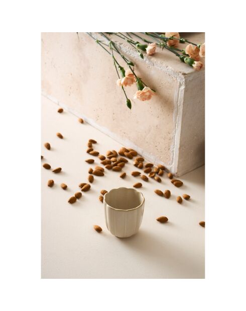 6 Gobelets Romancero naturel  -  15cl