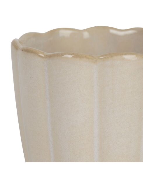 6 Gobelets Romancero naturel  -  15cl