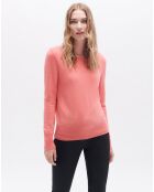 Pull 100% Laine Msofie camelia