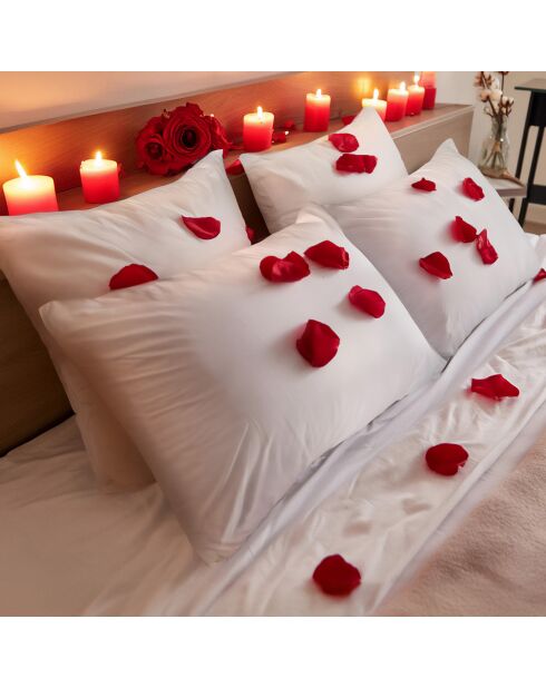 Oreiller Moelleux Nuit caline blanc - 60x60 cm