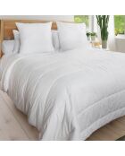 Pack Couette chaude + 2 Oreillers blanc