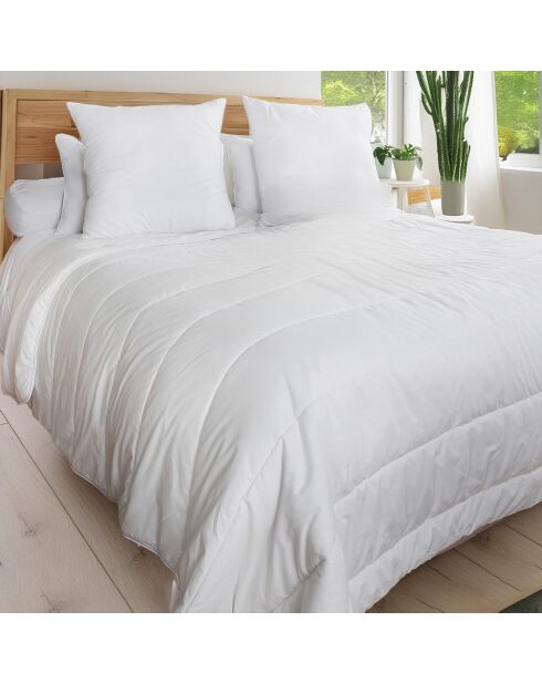 Pack Couette chaude + 2 Oreillers blanc