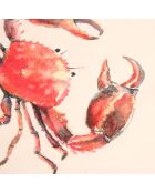 5 paños de cocina multicolores con crustáceos - 50x70 cm