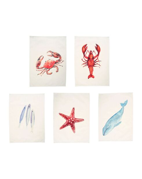 5 paños de cocina multicolores con crustáceos - 50x70 cm