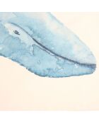 5 paños de cocina multicolores con crustáceos - 50x70 cm