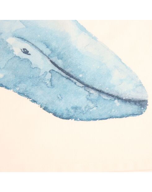 5 paños de cocina multicolores con crustáceos - 50x70 cm