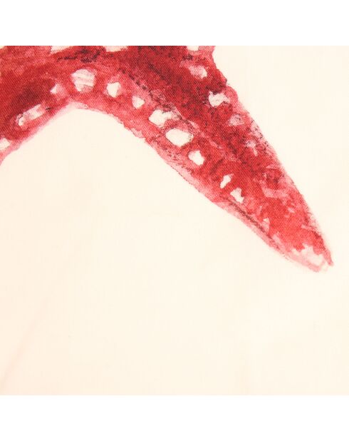 5 paños de cocina multicolores con crustáceos - 50x70 cm