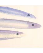 5 paños de cocina multicolores con crustáceos - 50x70 cm