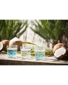 12 Gobelets banc de poissons Bodega turquoises - 35.5cl
