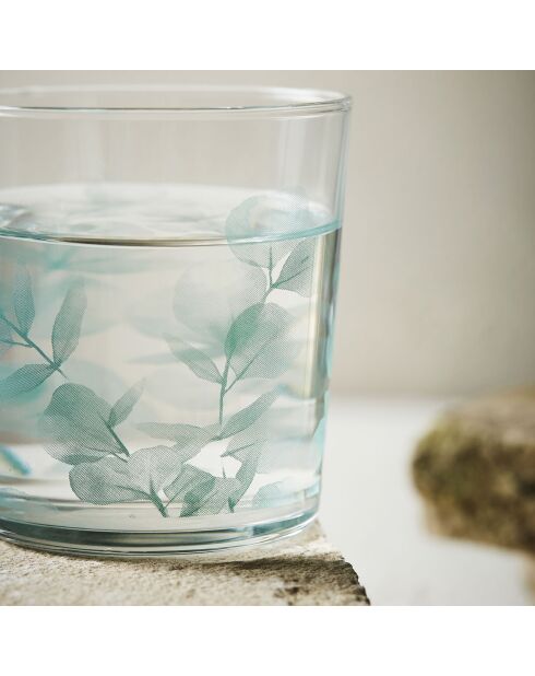 12 Gobelets Eucalyptus Bodega vert - 35.5cl