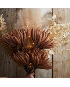 Fleur néage brun rosé  -  97 cm