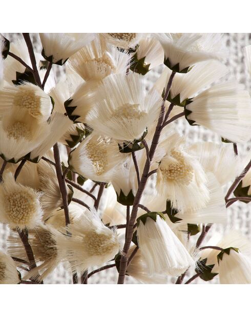 Fleur Camaé blanc cassé  -  95 cm
