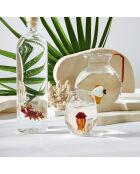 6 Gobelets Poulpe Océan ambre  - 50cl