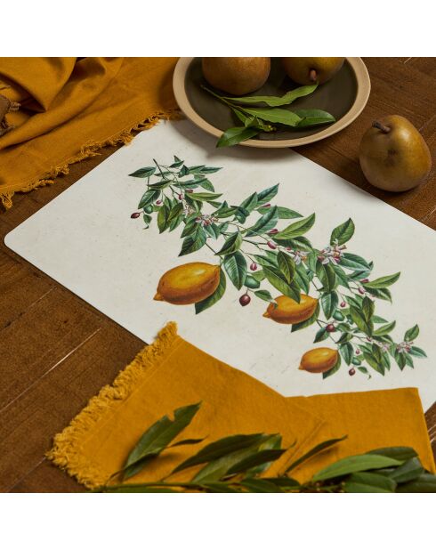 6 Jade kaki dinerborden - D.28 cm