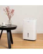 Déshumidificateur blanc