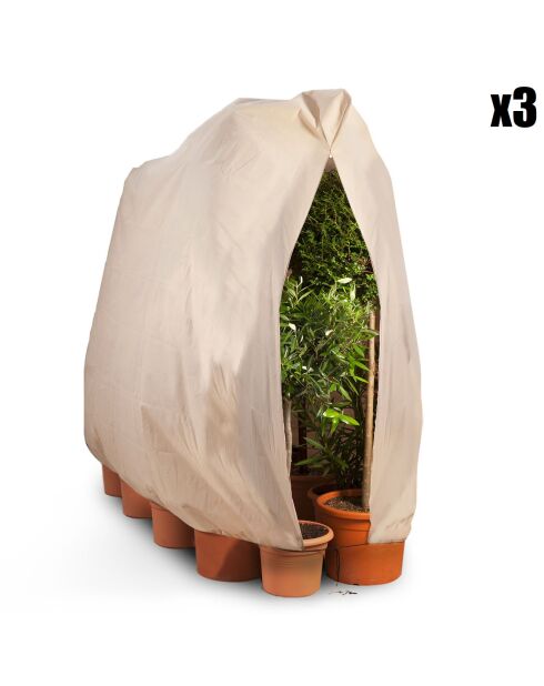 3 Housses d'hivernage pour plantes beiges - 160x80 cm