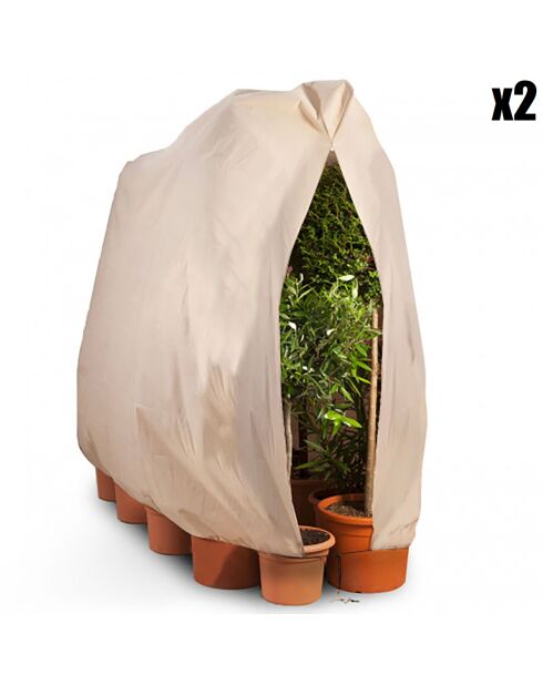 2 Housses d'hivernage pour plantes beiges - 120x180 cm