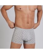 Boxer court gris