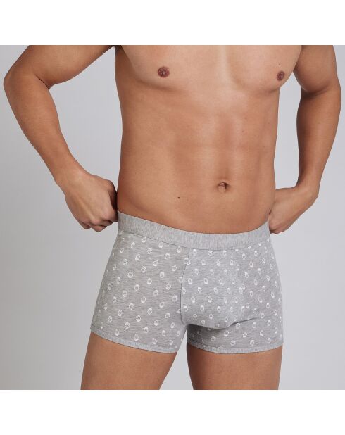 Boxer court gris