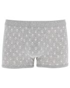 Boxer court gris