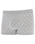 Boxer court gris